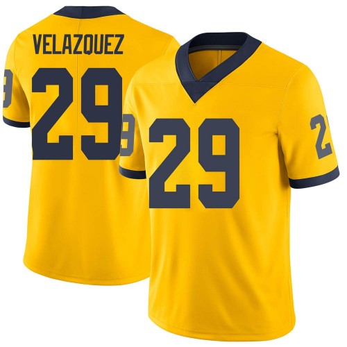 Joey Velazquez Michigan Wolverines Youth NCAA #29 Maize Limited Brand Jordan College Stitched Football Jersey HGW2354LD